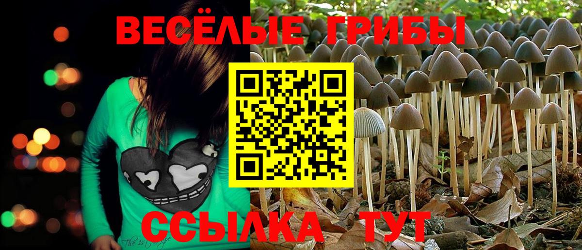 Псилоцибиновые грибы мухоморы Буйнакск