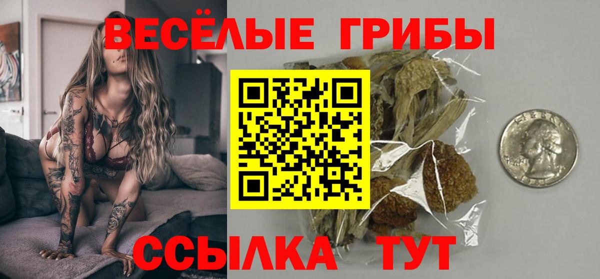 Буйнакск  как найти закладки  Вход с VPN  Псилоцибиновые грибы MAGIC MUSHROOMS 